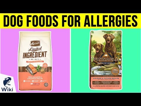 download lagu mp3 mp4 Best Dog Food For Dogs With Allergies 2017, download lagu Best Dog Food For Dogs With Allergies 2017 gratis, unduh video klip Best Dog Food For Dogs With Allergies 2017