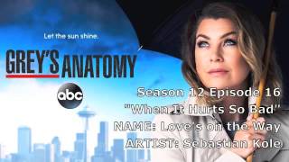 Grey&#39;s Anatomy Soundtrack - &quot; Love&#39;s on the Way&quot; by Sebastian Kole (12x16)