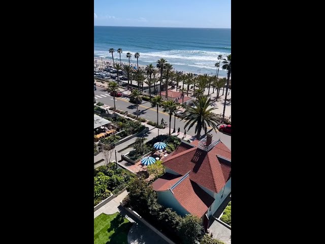 Vídeo relacionado con Oceanside Beach Palmeras California Vacation Ocean Camiseta