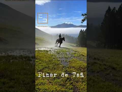 venta terreno.tafi del valle. #servicioinmobiliario #ventapropiedades #invierteenbienesraices