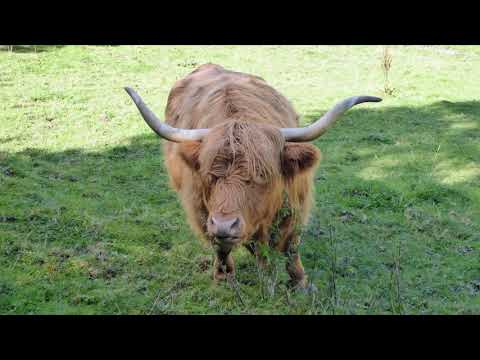 Von Schwarzenburg her durch die Galterenschlucht nach Freiburg (BE/FR) / 26.08.18