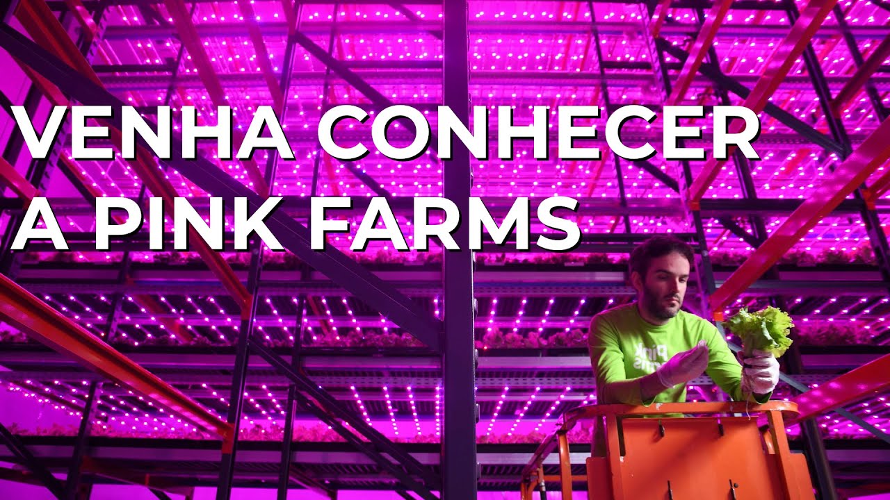 Pink Farms - A maior fazenda vertical urbana da América Latina