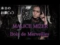 ６８． MALICE MIZER / Bois de Merveilles【歌ってみた】ランラ ...