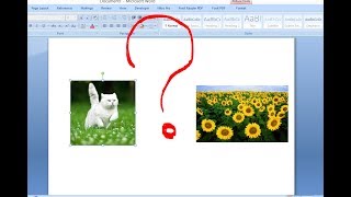 Cant move the picture in word  [ solved] - Ms Word