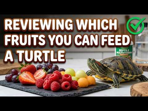 Do Turtles Eat Oranges