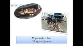 Attività del primo trimestre 2017