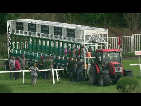 CH, 15. 8. 2020, 4. dostih - 17. CENA NORY JEANE