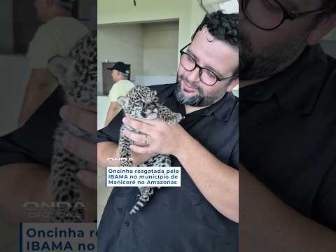 🎥 Redes Sociais #fyp #viral #onça #amazonas #manicoré #shorts