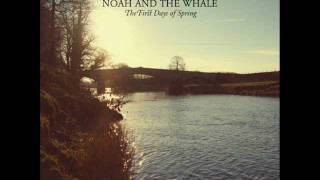 Noah and the Whale - The Line