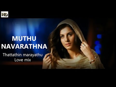 Muthu NavaRathna Mukham|Thattathin marayathu|- Love Remix - | R'edited Mix | (Video)1924