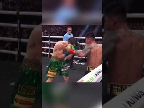 Mark Magsayo's destructive left hand