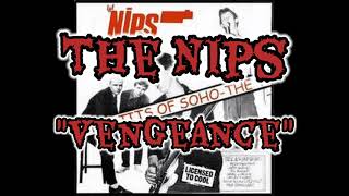 The Nipple Erectors / The Nips - Vengeance ( Lyrics Video ) &quot;Shane McGowans&#39; First Band&quot;