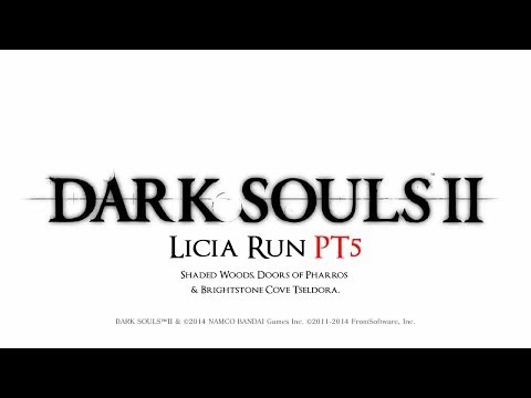 Licia Run PT-5 - Shaded Woods, Doors of Pharros & Brightstone Cove Tseldora.