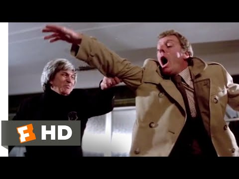 Revenge of the Pink Panther (1978) - Meeting Mr. Chong Scene (3/12) | Movieclips