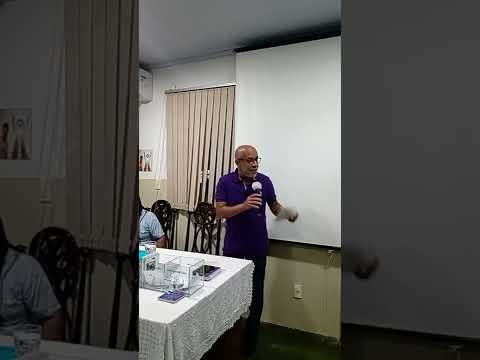 O NOSSO PENSAMENTO CRIA A VIDA QUE PROCURAMOS