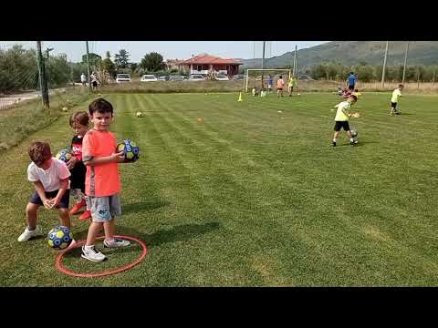 piccoli amici 1c1 con stimolo visivo e transizione