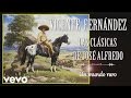 Vicente Fernández - Un Mundo Raro  - Cover Audio