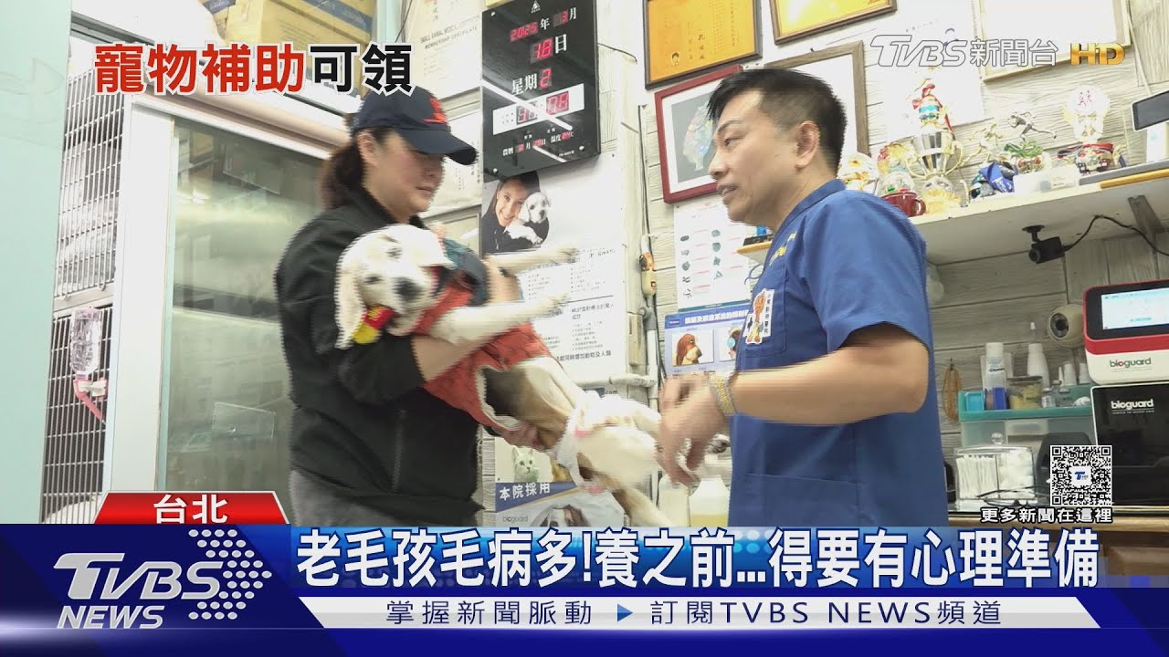 養寵物有補助! 結紮、疫苗、晶片各縣市都可申請