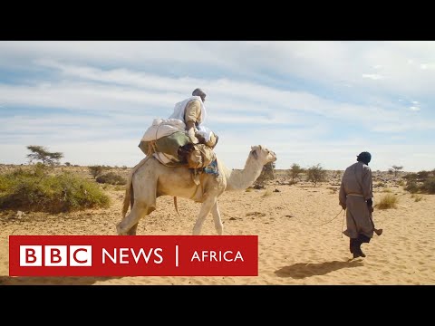 Desert Empires - History Of Africa with Zeinab Badawi [Episode 10]