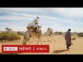 Desert Empires - History Of Africa with Zeinab Badawi [Episode 10]