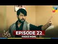 Raqs E Bismil Episode 22