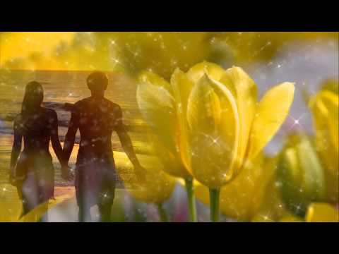 Eric Carmen ♫ I Was Born To Love You ☆ʟʏʀɪᴄ ᴠɪᴅᴇᴏ☆