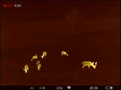 HELION 2 XP50   Red Monochrome 035