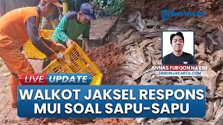 Dikritik MUI soal Cara Pemusnahan Ikan Sapu-sapu, Wali Kota Jakarta Selatan Ubah Metode