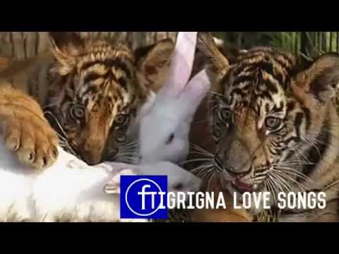 Hiluf Alemu   ስኒት SNIT   New Tigrigna Music 2016