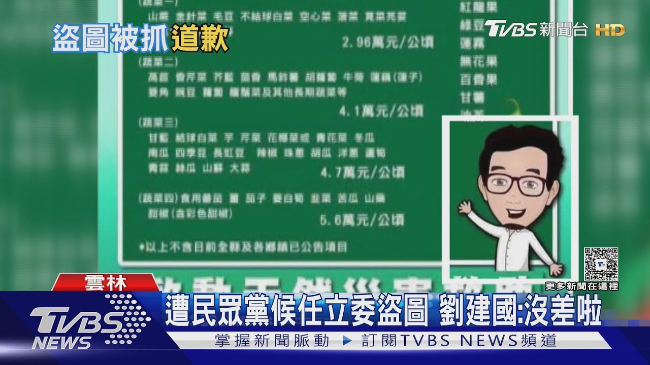 遭網抓包盜綠委圖 蔡春綢道歉:思慮不周