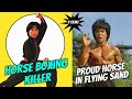 Wu Tang Collection Horse Boxing Killer Proud Horse In Flying Sand