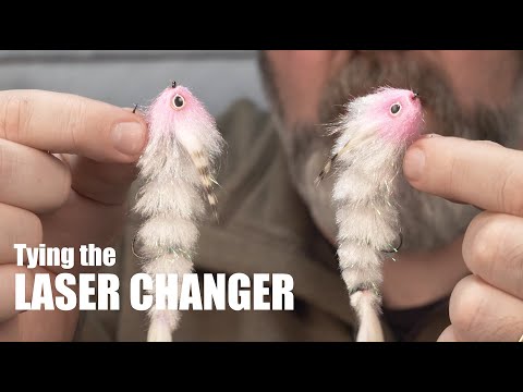 The Laser Changer