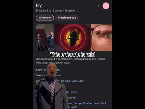 Breaking Bad: Fly vs. Ozymandias