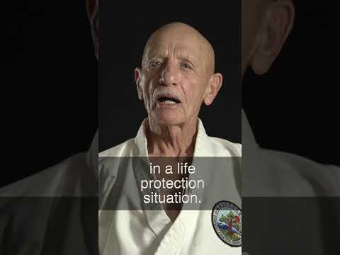 83 year old karate master Doug Perry