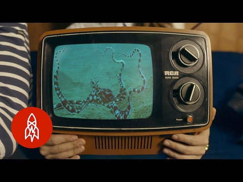 The Ocean's Curious Copycat Extraordinaire With Philippe Cousteau