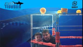 DIA 3 Expo Tiburon207