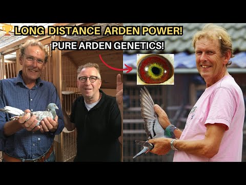 Jan Polder: The Master of Long-Distance Pigeons