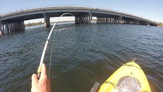 Florida Fishing Road Trip Part 1: Spanish in the Back