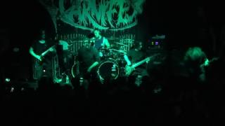 Fallujah - "The Void Alone" (Live in San Diego 2-2-17)