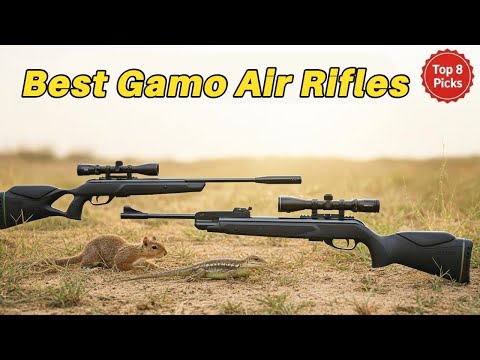 8 Best Gamo Air Rifles For Hunting Small Game