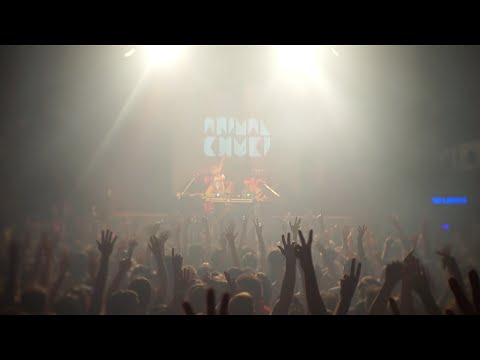 Animal Chuki @ Niceto - Zizek Club Buenos Aires