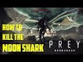 How to kill The Moon Shark (Prey Mooncrash)