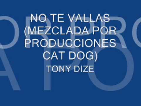 Tony Dize No Te Vayas - Dj Nesty