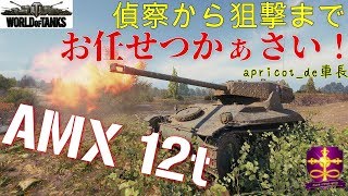 【WOT】ゆっくり実況 路地裏戦闘録 第六十三弾 AMX12t 　あんず車長