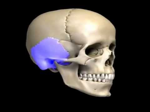 Osteocondrosi Tianshi Bikbaeva Virus colpisce le articolazioni