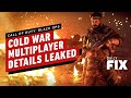 Call of Duty: Black Ops Cold War's Multiplayer Details Leaked - IGN Daily Fix