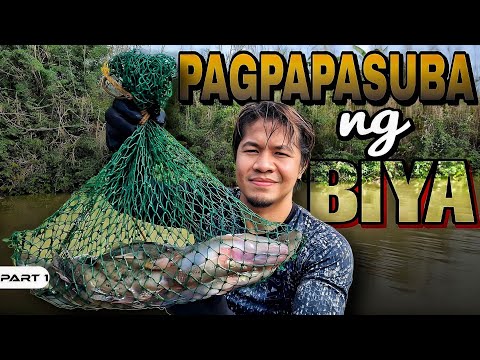 EP1000-P1 - Pagpapasuba ng Biya