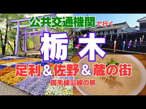 【車なし・公共交通／女ひとり旅】栃木県／栃木・佐野・足利2025観光／蔵の街♪佐野ラーメン♪足利フラワーパークを楽しむ両毛線沿線の旅
