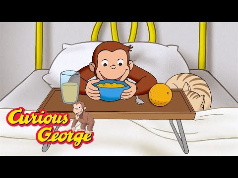 How to Stay Healthy 🐵 Curious George 🐵 Kids Cartoon 🐵 Kids Movies