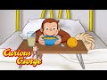 How to Stay Healthy 🐵 Curious George 🐵 Kids Cartoon 🐵 Kids Movies